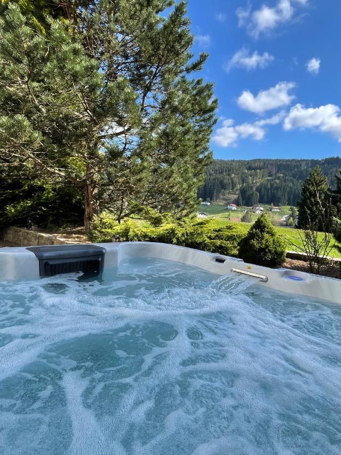 La Charbonniere, Grand Gite Haut-De-Gamme Avec Jacuzzi Et Sauna Gérardmer Eksteriør bilde